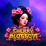 Cherry Blossom